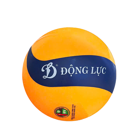 Quả Bóng Chuyền Hơi Hoa Xoáy DL250