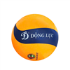 Quả Bóng Chuyền Hơi Hoa Xoáy DL250