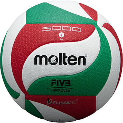 Quả bóng chuyền Molten V5M5000